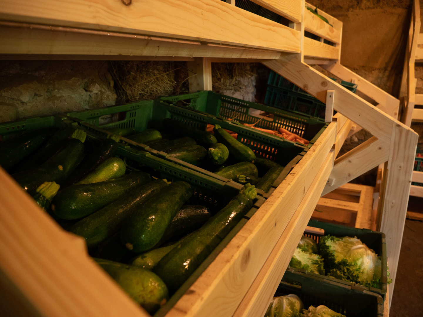 Marche A Travers champs Legumes 